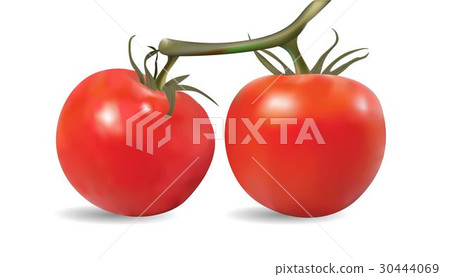 Tomatoes On The Vine 30444069