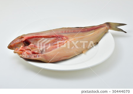 打開曲棍球 30444070