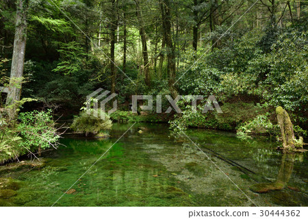 Ikeyama water source in Kumamoto Prefecture 30444362