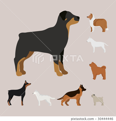 Funny cartoon dog character bread in cartoon style 30444446