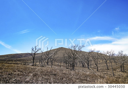 第一次燒烤山 第一次燒烤山 30445030