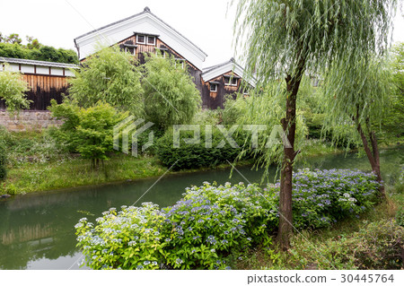 伏見清酒啤酒廠和繡球花 30445764