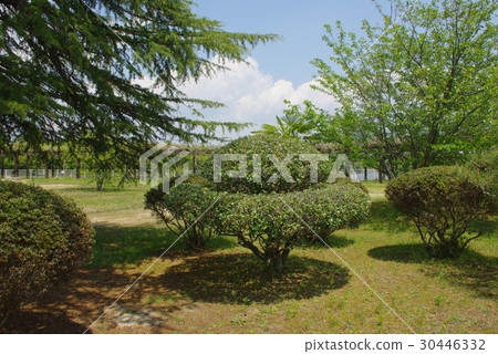 San Meng Water Source Area (Hiroshima Prefecture Higashi Hiroshima City Saijo Town) 30446332