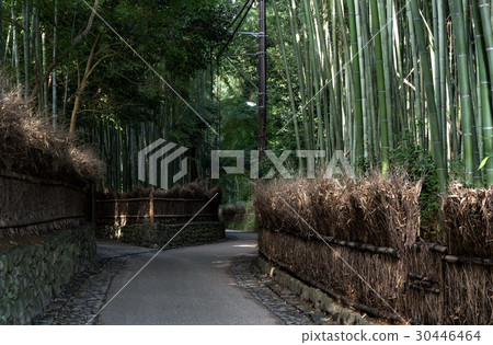 嵐山·竹子路 30446464