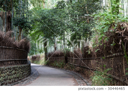 嵐山·竹子路 30446465
