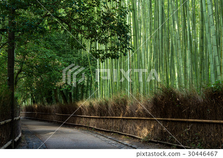 嵐山·竹子路 嵐山·竹子路 30446467