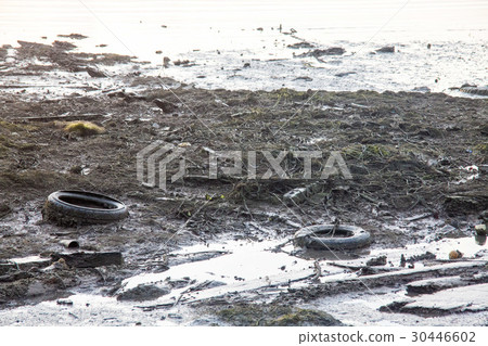 Dirty muddy beach showing a dump site 30446602