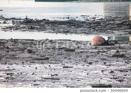 Dirty muddy beach showing a dump site 30446604