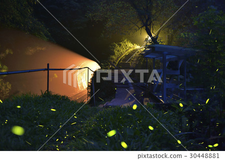 螢火蟲,夜景,昆蟲 30448881