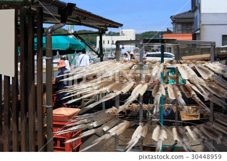 Special product Saga ken Yoshiko machi overnight dried squid Special product Saga ken Yoshiko machi overnight dried squid 30448959