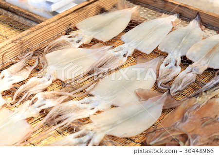 Special product Saga ken Yoshiko machi overnight dried squid 30448966