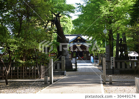 Cloth Tenjin company Cloth Tenjin company 30449174
