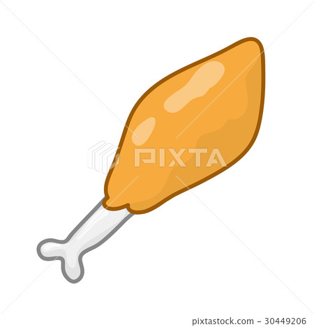fried chicken isolated illustration 30449206
