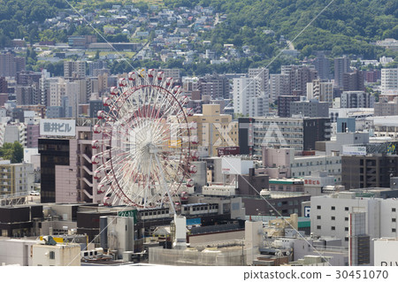 城市中的摩天輪 30451070