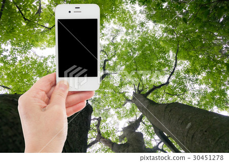 Sumaho fresh green inset material for synthesis Sumoha synthesis 30451278