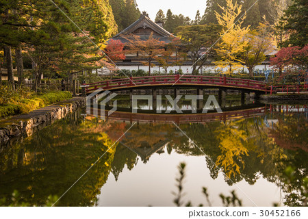 Wakayama Pond in front of Koyasan Fudo-do of autumn leaves 30452166