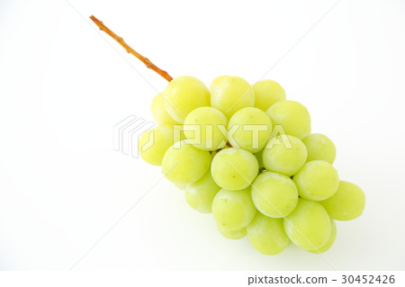 GrapeShine Muscat 30452426