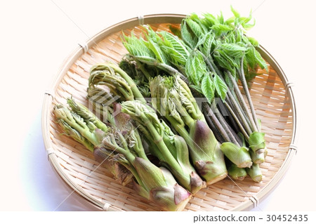 Assorted cod and cosian bra Assorted cod and cosian bra 30452435