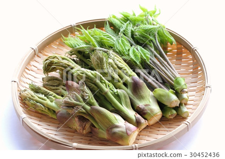 Assorted cod and cosian bra Assorted cod and cosian bra 30452436