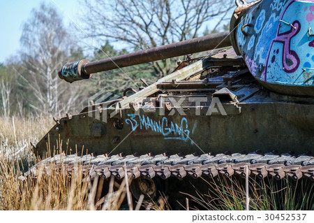 Battle tank in moor Battle tank in moor 30452537