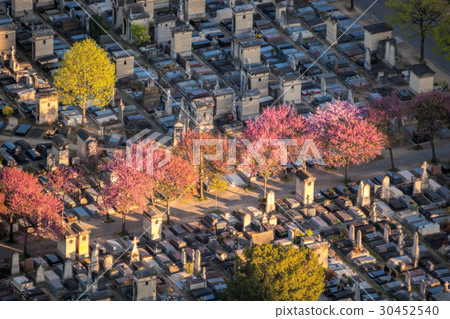 view of Montparnasse Cemetery in Paris,France 30452540