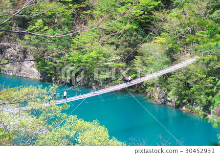 懸索橋的夢想 30452931