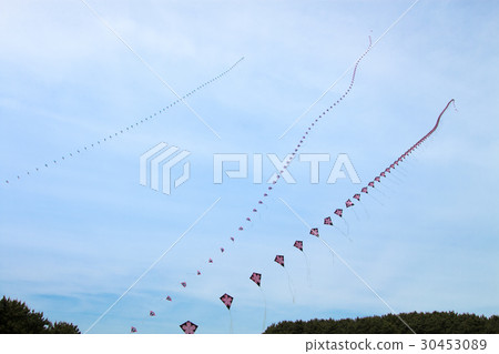 Kite flying 30453089