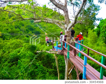 Woman going on a jungle zipline adventure 30454988