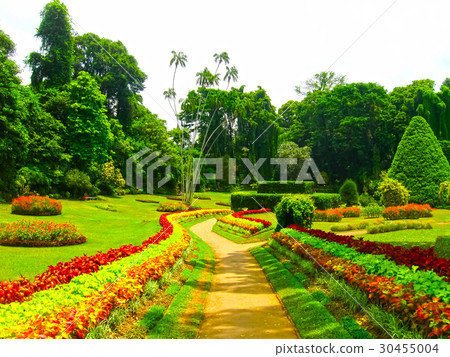 Royal Botanical garden Peradeniya. Sri Lanka 30455004