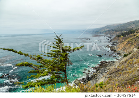 Pacific Coast Highway View 30457614