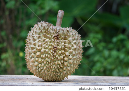 Fresh durian on blur background 30457861