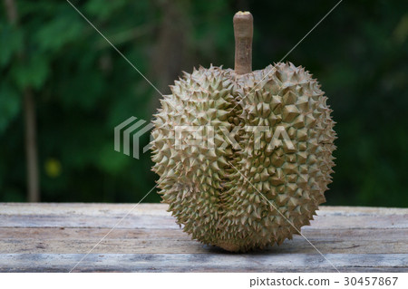 Fresh durian on blur background 30457867