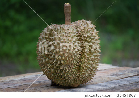 Fresh durian on blur background 30457868