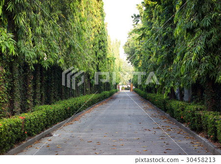 archway in garden on day light 30458213