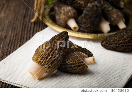 Fresh morchella conica, seasonal mushrooms. 30458610