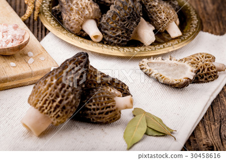 Fresh morchella conica, seasonal mushrooms. Fresh morchella conica, seasonal mushrooms. 30458616