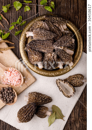 Fresh morchella conica, seasonal mushrooms Fresh morchella conica, seasonal mushrooms 30458617