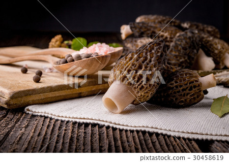 Fresh morchella conica, seasonal mushrooms Fresh morchella conica, seasonal mushrooms 30458619