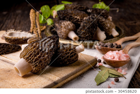 Fresh morchella conica, seasonal mushrooms Fresh morchella conica, seasonal mushrooms 30458620