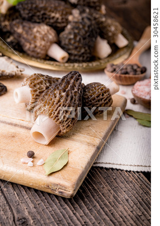 Fresh morchella conica, seasonal mushrooms Fresh morchella conica, seasonal mushrooms 30458621