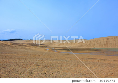 鳥取沙丘和綠洲 30459273