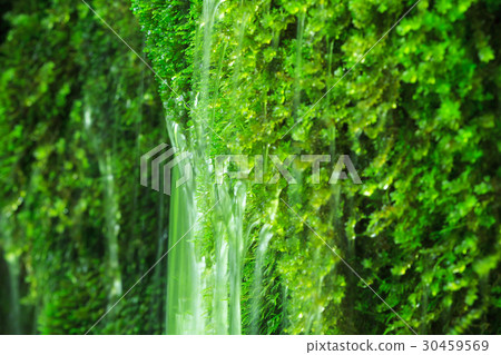清除流動和苔蘚 清除流動和苔蘚 30459569