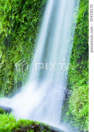 Moss rock and splash Moss rock and splash 30459570