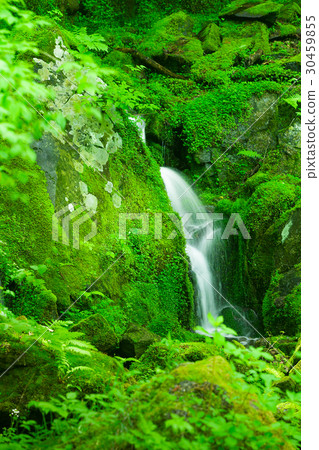 Clear flow and moss rock 30459855