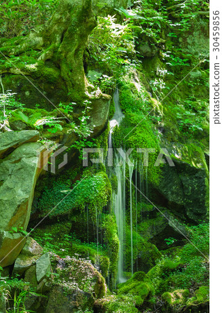 Moss rock and clear stream 30459856
