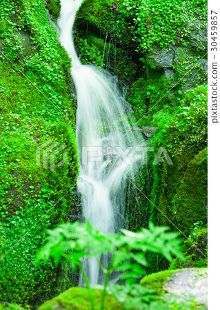 Moss rock and splash 30459857
