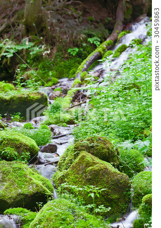 Moss rock and clear stream 30459863