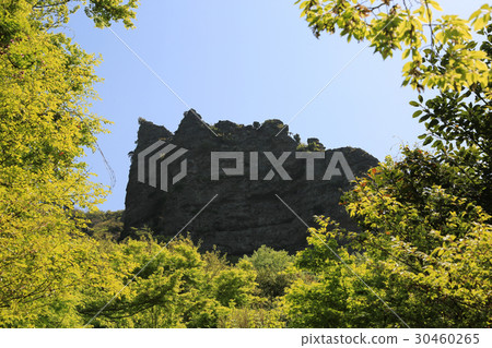 Kagawa prefecture Shodojima cho Karaki Stone cloud bed (Table 12, the eighth view) 30460265