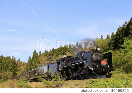 禁止海外線SL新鮮綠色 禁止海外線SL新鮮綠色 30460293