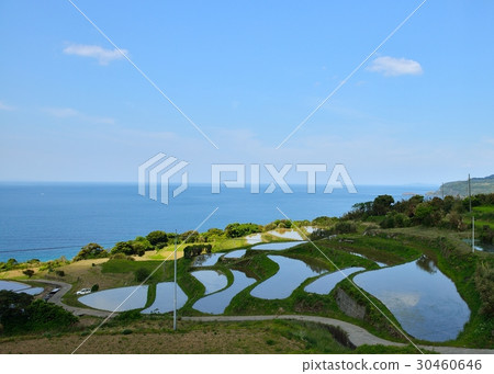 Rice terraces in the east-field 30460646
